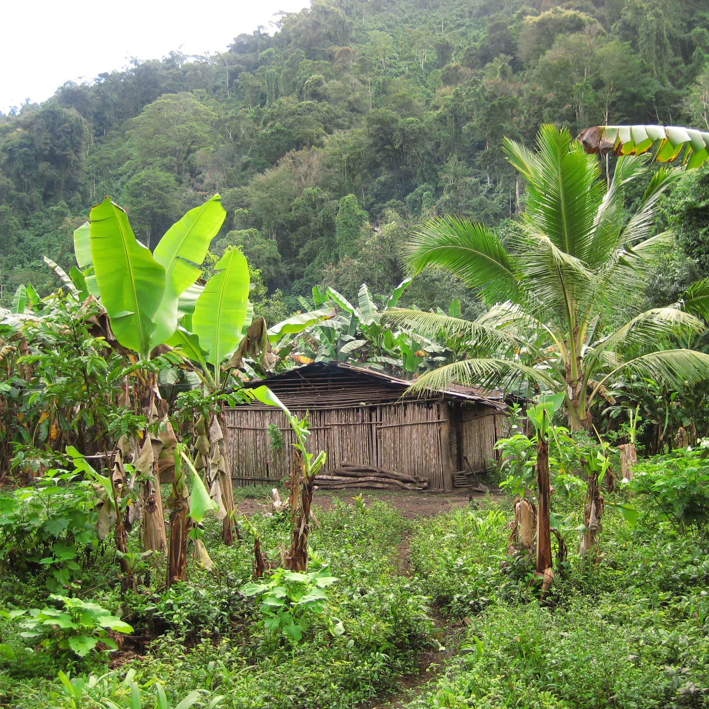costarica